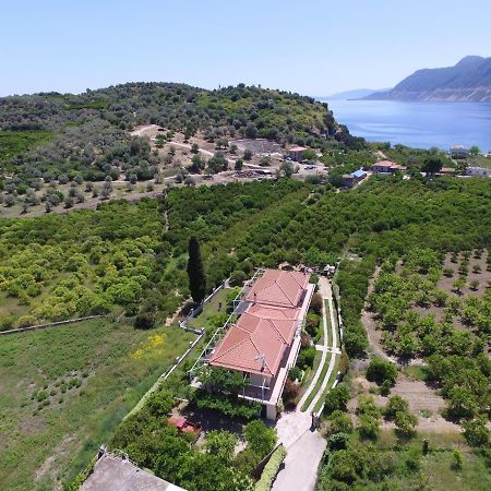 Το Είδωλον Daire Epidaurus Dış mekan fotoğraf