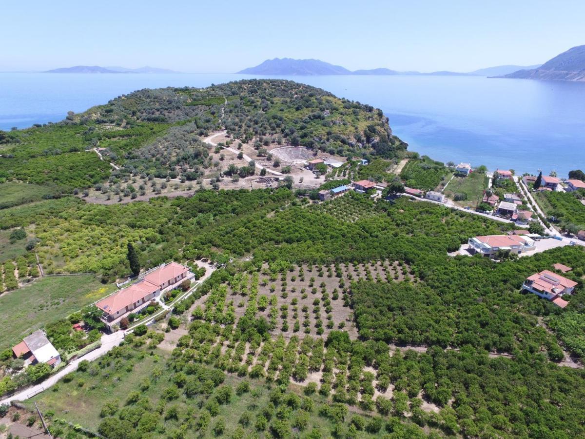 Το Είδωλον Daire Epidaurus Dış mekan fotoğraf