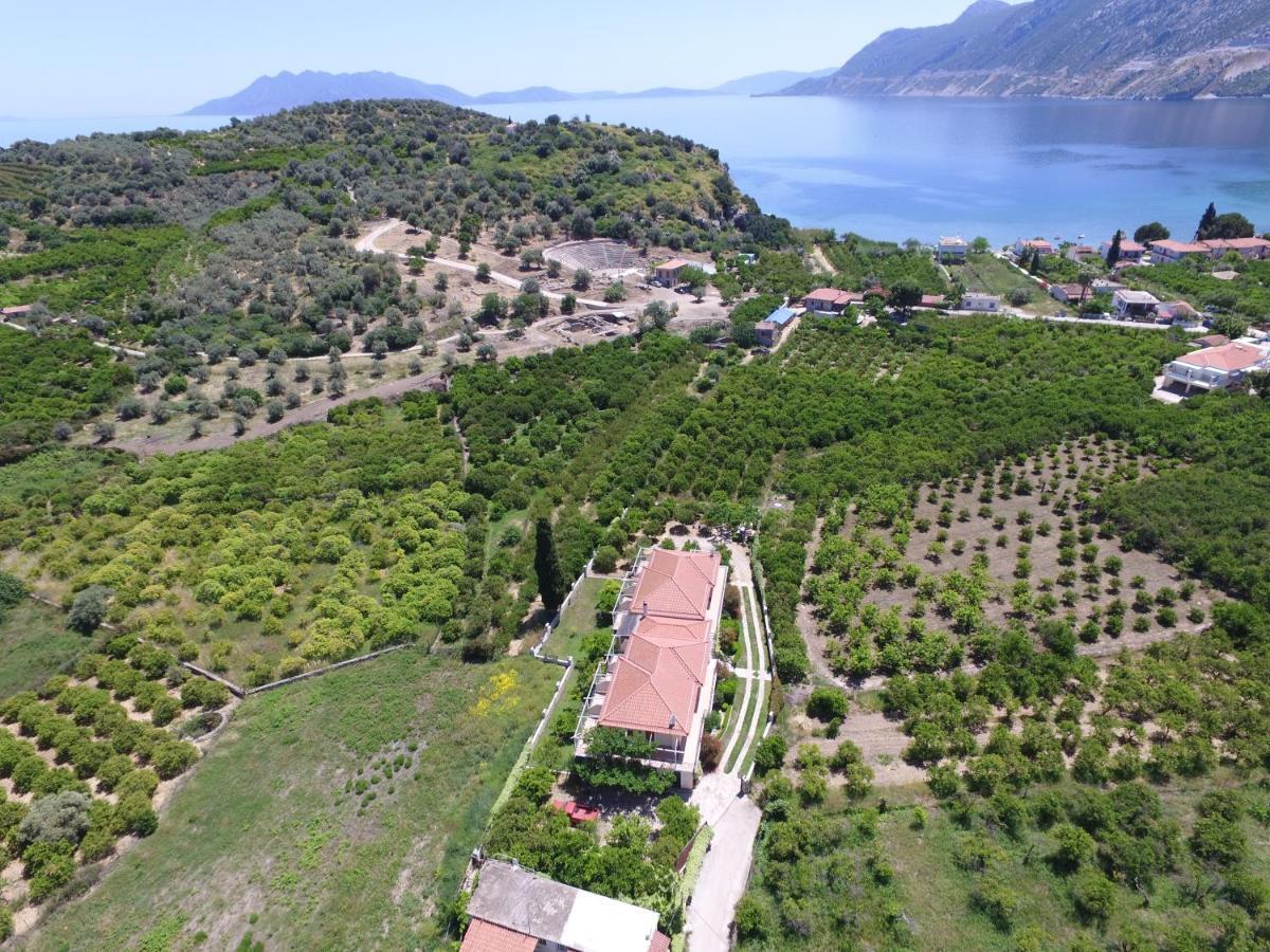 Το Είδωλον Daire Epidaurus Dış mekan fotoğraf