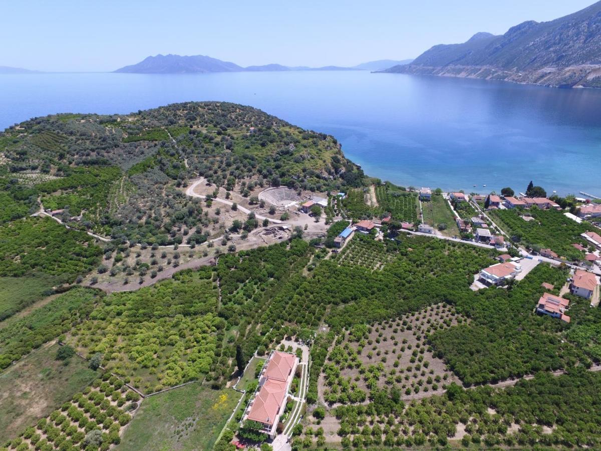 Το Είδωλον Daire Epidaurus Dış mekan fotoğraf