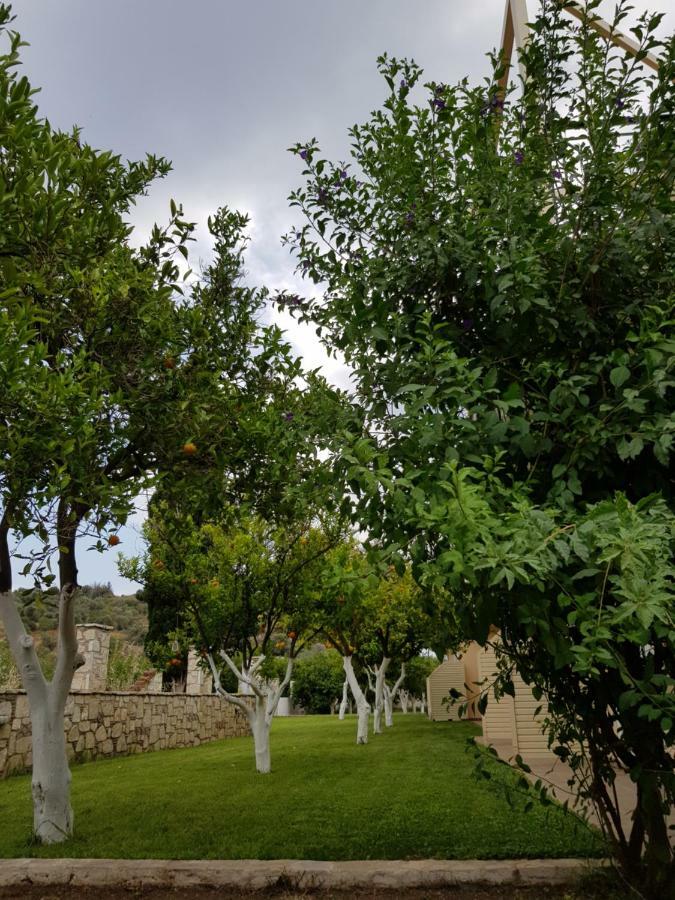 Το Είδωλον Daire Epidaurus Dış mekan fotoğraf
